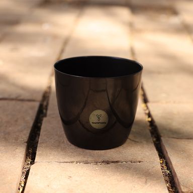 Valencia Planters | Pack of 2 | Black Pot