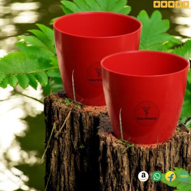 Valencia Planters | Pack of 2 | Red Pot