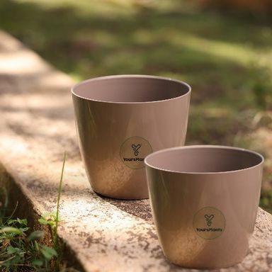 Valencia Planters | Pack of 2 | Mocca Pot