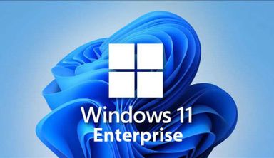 Windows 11 Enterprise LTSC
