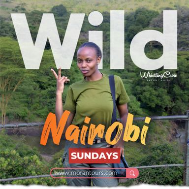 Nairobi National Park and Giraffe Centre