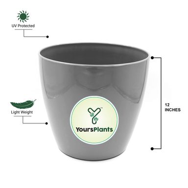 Large Planters with Wheels | 12Inch Planter | Grey