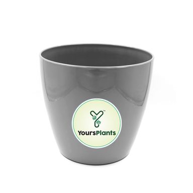 Large Planters with Wheels | 12Inch Planter | Grey