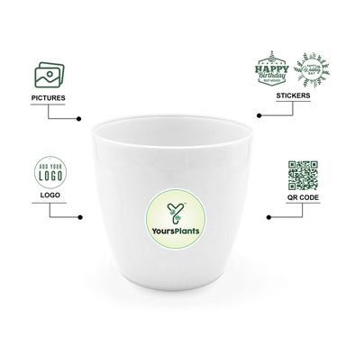 Large Planters with Wheels | 12Inch Planter | White 