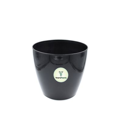 Large Planters with Wheels | 12Inch Planter | Black