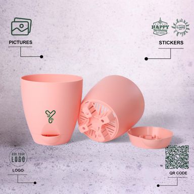 Peach Aqua Self Watering | 7inch Pot | Pack of 2