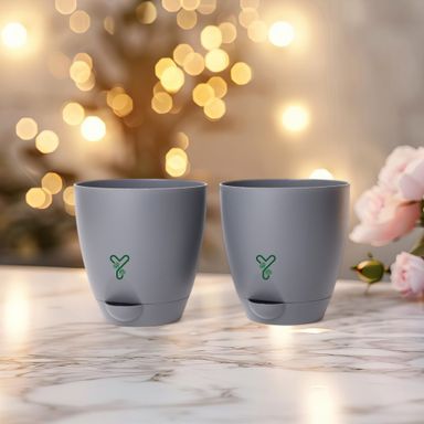 Grey Aqua Self Watering | 7inch Pot | Pack of 2