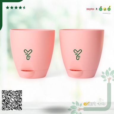 Peach Aqua Self Watering | 7inch Pot | Pack of 2