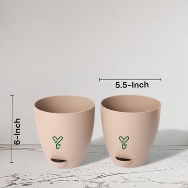 Rock BrownAqua Self Watering | 7inch Pot | Pack of 2