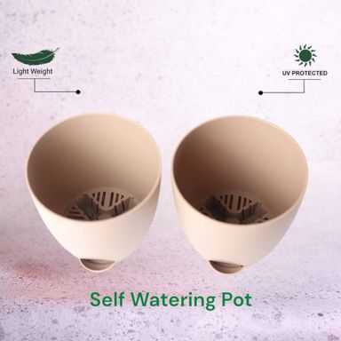 Rock BrownAqua Self Watering | 7inch Pot | Pack of 2