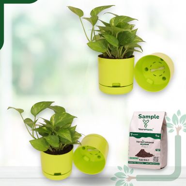 Green | Bloom9 Self-Watering Pot | 5-Inch | {Free 1kg Organic Pot Mix} | Pack of 4