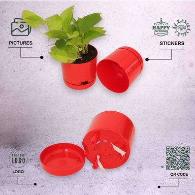 Red | Bloom9 Self-Watering Pot | 5-Inch | {Free 1kg Organic Pot Mix} | Pack of 4