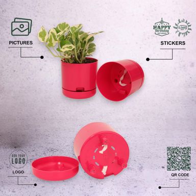 Pink | Bloom9 Self-Watering Pot | 5-Inch | {Free 1kg Organic Pot Mix} | Pack of 4