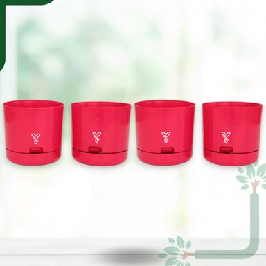 Pink | Bloom9 Self-Watering Pot | 5-Inch | {Free 1kg Organic Pot Mix} | Pack of 4