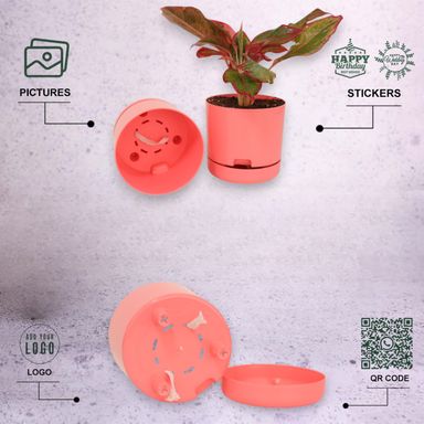 Peach | Bloom9 Self-Watering Pot | 5-Inch | {Free 1kg Organic Pot Mix} | Pack of 4