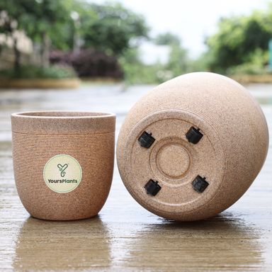 Milano Large Planters with Wheels | 12Inch Planter | Cream Stone 