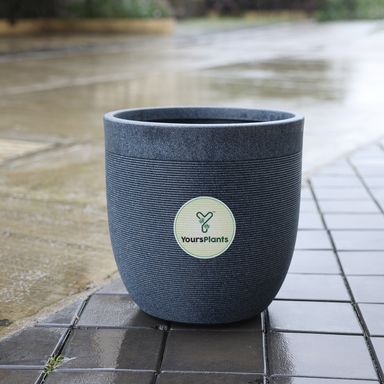 Milano Large Planters with Wheels | 12Inch Planter | Midnight Stone