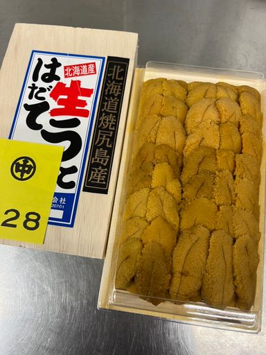 300g '羽立 Hadate' Ranked 28th Murasaki Uni
