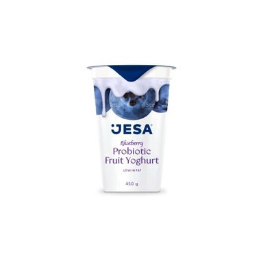 Jesa Blueberry Probiotic Fruit Yoghurt