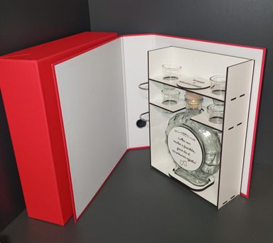 Pijani registrator