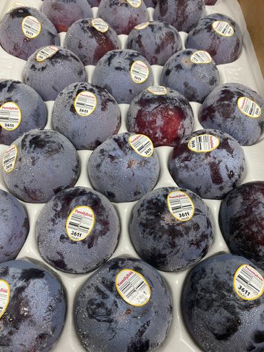 USA Family Tree Plumcot