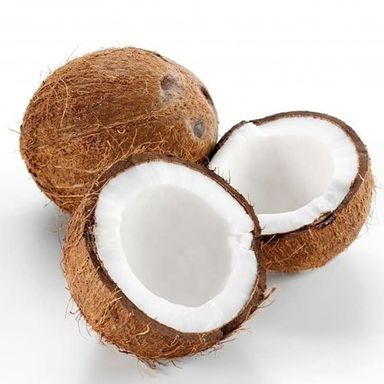 Coconut