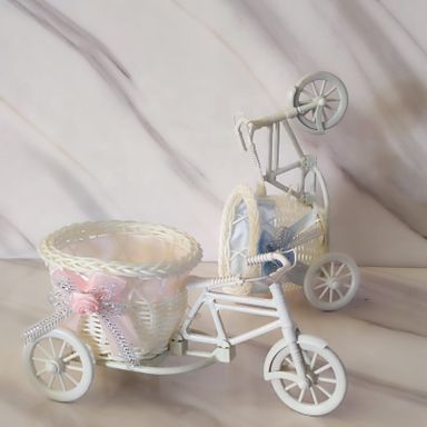 Conteneur en Forme de Vélo - حاوية على شكل دراجة