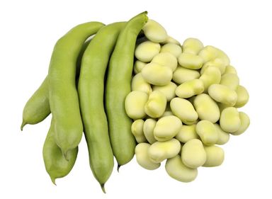 Fava Beans فول أخضر