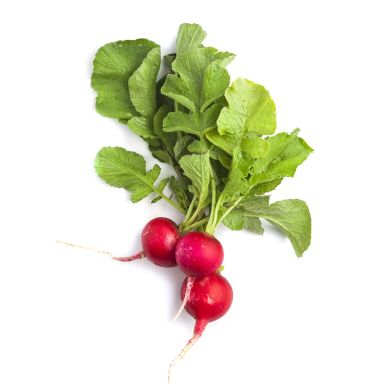 Radish فجل