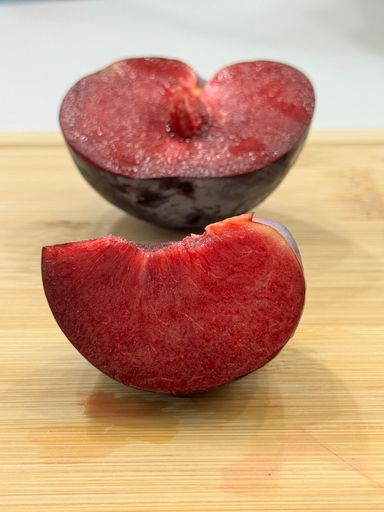 USA Family Tree Plumogranate Plumcot 