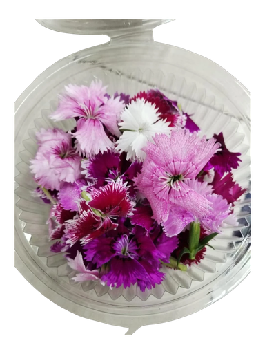 The Green Batch – Clavellinas Edible Flowers 30 units / Flores Comestibles Clavellinas 30 unidades