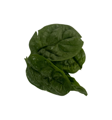The Green Batch – Spinach / Espinaca