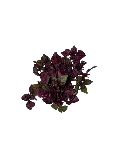 The Green Batch – Shiso Microgreens PET 1oz (28g) / Microgreens de Shiso PET 1oz (28g)