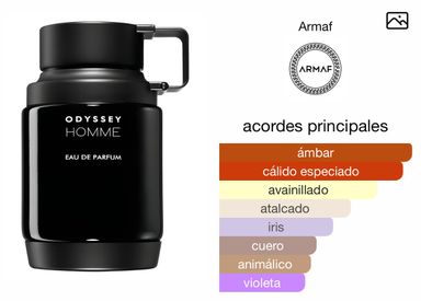 Odyssey Homme