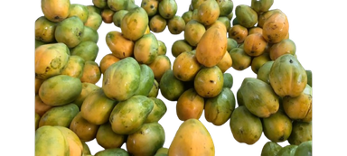 Local Mangoes