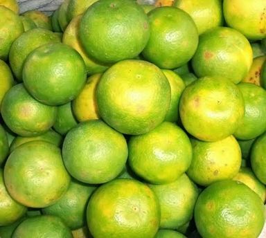Local Oranges (green exterior)