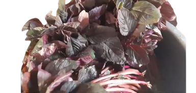 Ebuga (Amaranth Leaves)