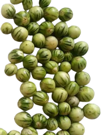Katunkuma (African Bitter Berries)