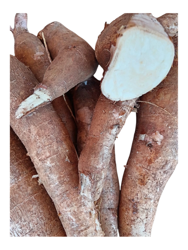 Cassava (per lb) / Yucas