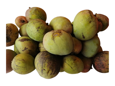 Mango 3 pcs / Mango 3 und
