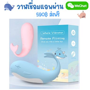 วาฬWechat ไข่สั่นวาฬเชื่อมแอพ