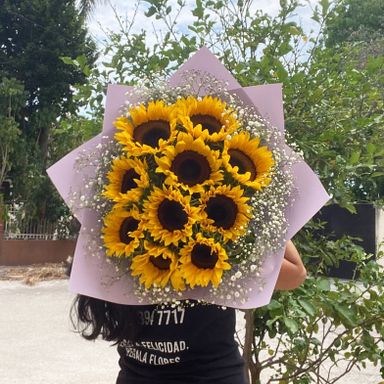 10 girasoles en las nubes
