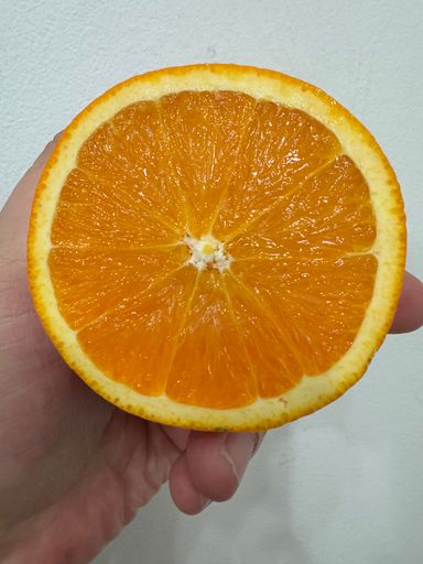 Australia Seedless Navel Orange - Big Size 