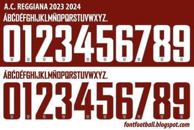Font Vector A.C. Reggiana 2023 2024 kit