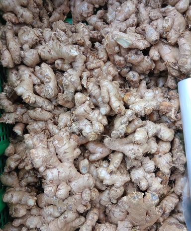 Ginger Locale 1kg
