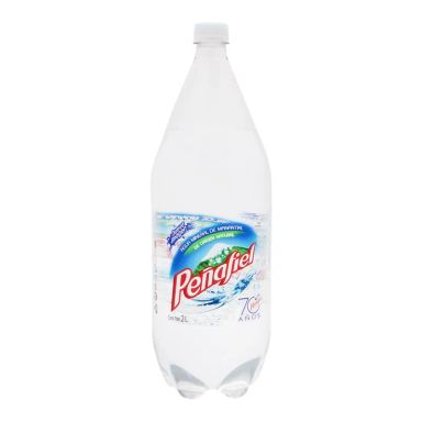 Agua Mineral Penafiel 2.0 LT