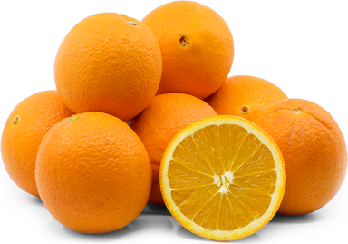 Aust Venus Jumbo Navel Orange