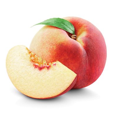 USA Family Tree White Peach