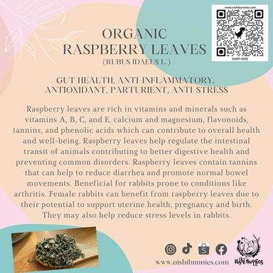 Premium Organic Herbs