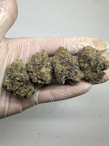 🇺🇸🇳🇱 Dutch Cali – Purple Punch (Larry OG x Granddaddy Purple)